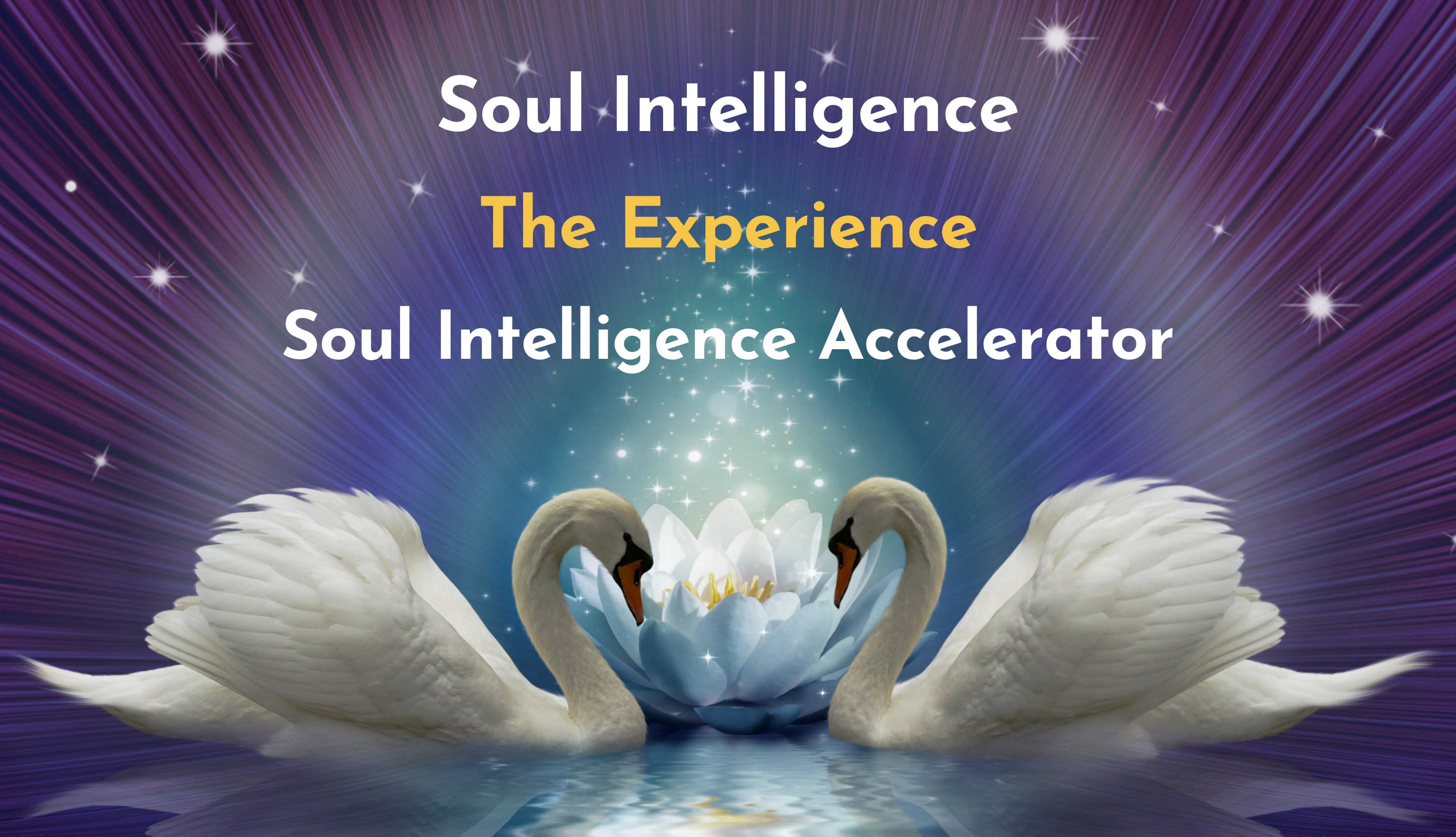 Soul Base Intellect Yoram Weis – Soul Intelligence – Experiential Intuitive Learning