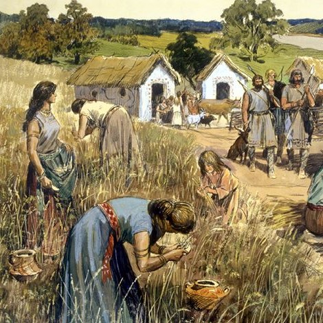 Image33