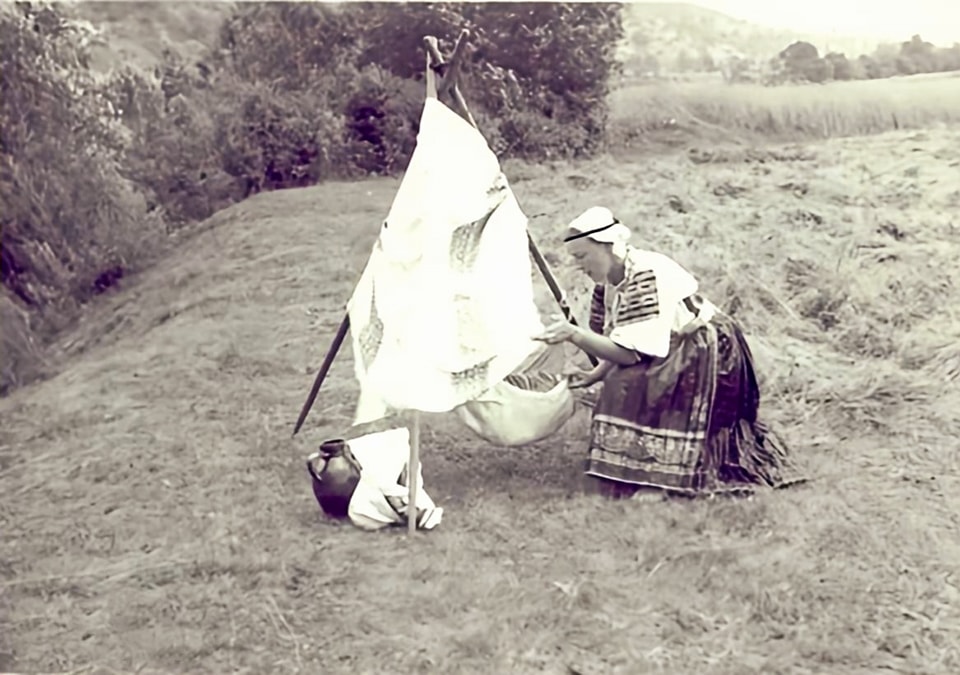 Image14