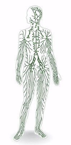 Image20