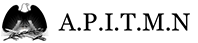Image41