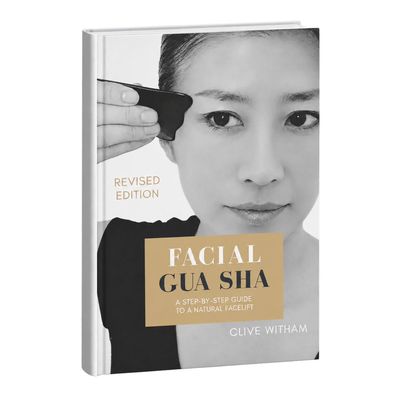 Facial Gua sha book