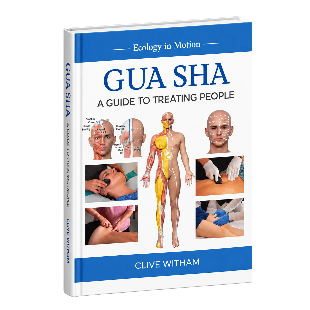Gua sha treating people book